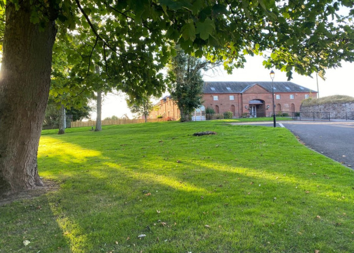 32. Driveway, Lawn