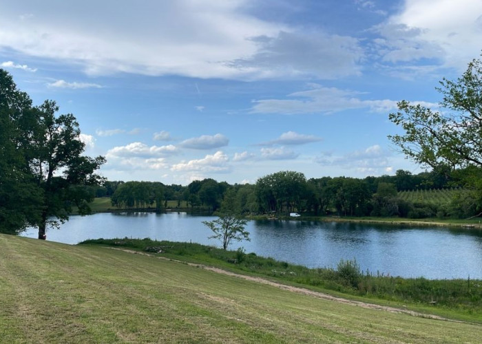 14. Lake / Pond