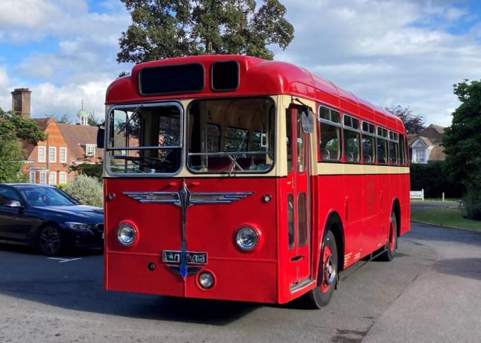 Various Buses Including Vintage Models for Filming