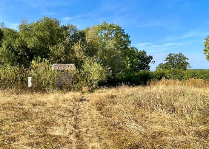 14. Fields
