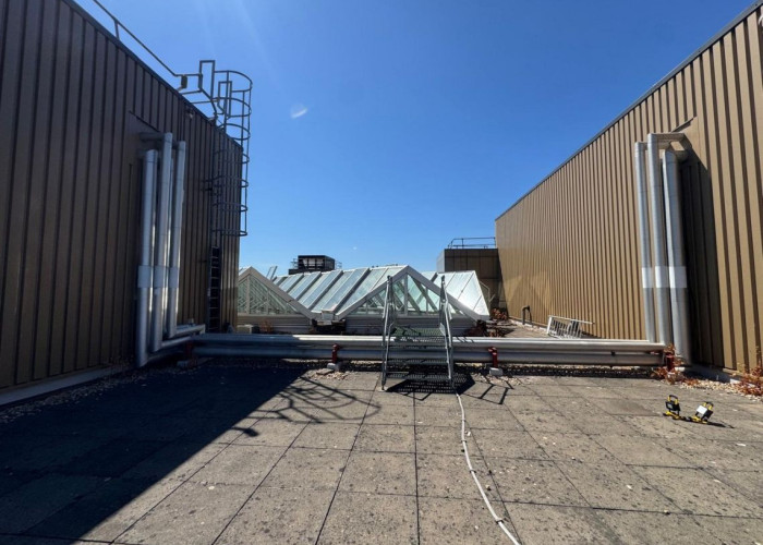 7. Rooftop