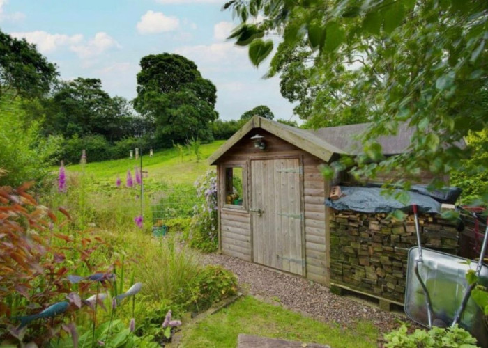 31. Shed