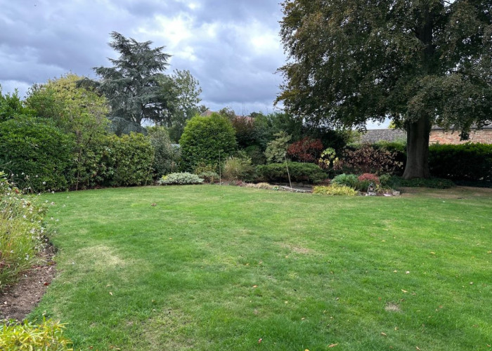 20. Lawn