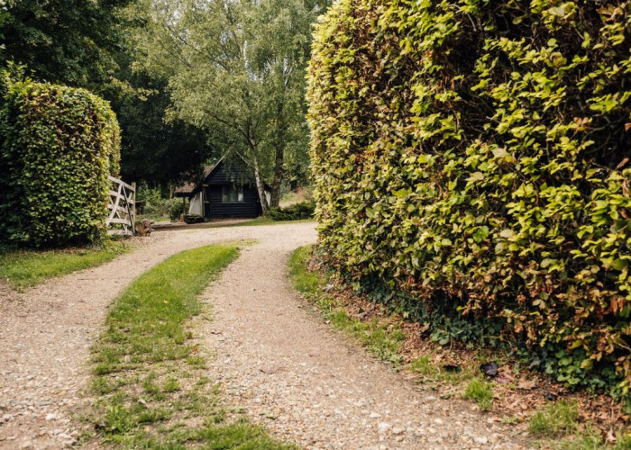 2. Driveway