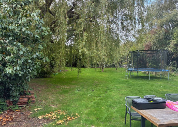39. Garden (Rear, Large)