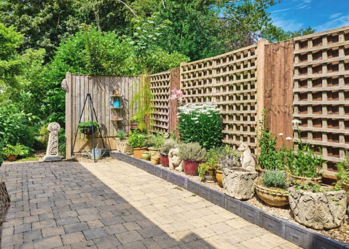 Plants, Shrub at Characterful, Versatile Detached Property For Filming, Staffordshire