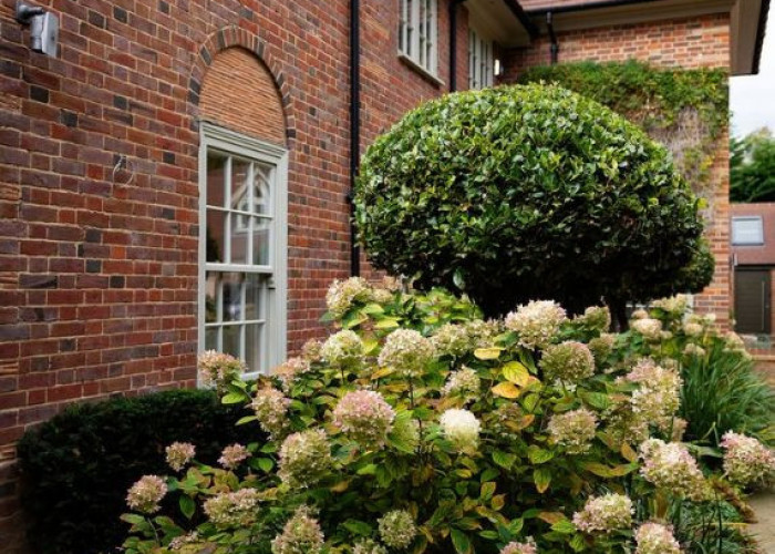 Shrub, Garden at Beautiful Contemporary Home In Buckinghamshire For Filming, Buckinghamshire