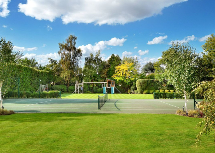 Tree, Grass at Beautiful Contemporary Home In Buckinghamshire For Filming, Buckinghamshire