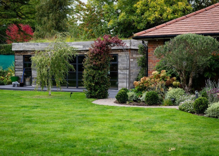Plants, Garden at Beautiful Contemporary Home In Buckinghamshire For Filming, Buckinghamshire