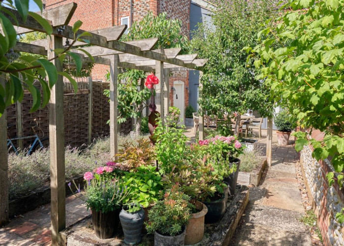 Plants, Shrub at Industrial Garage And Workshop For Filming, Norfolk