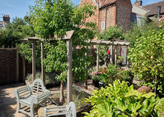 Plants, Garden at Industrial Garage And Workshop For Filming, Norfolk