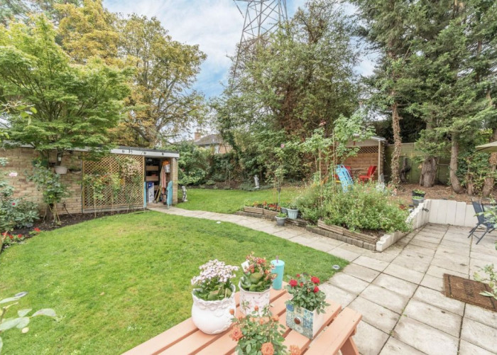 Plants, Garden at Detached Home Across Three Floors For Filming, London