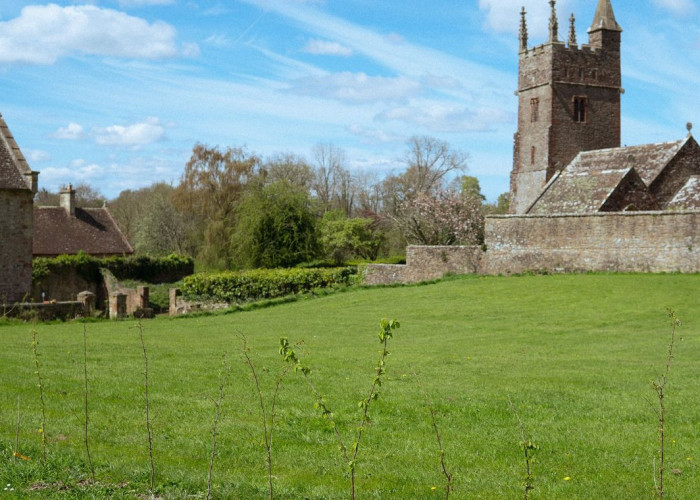 Grass, Nature at Majestic Grade II Listed Manor House For Filming, Somerset