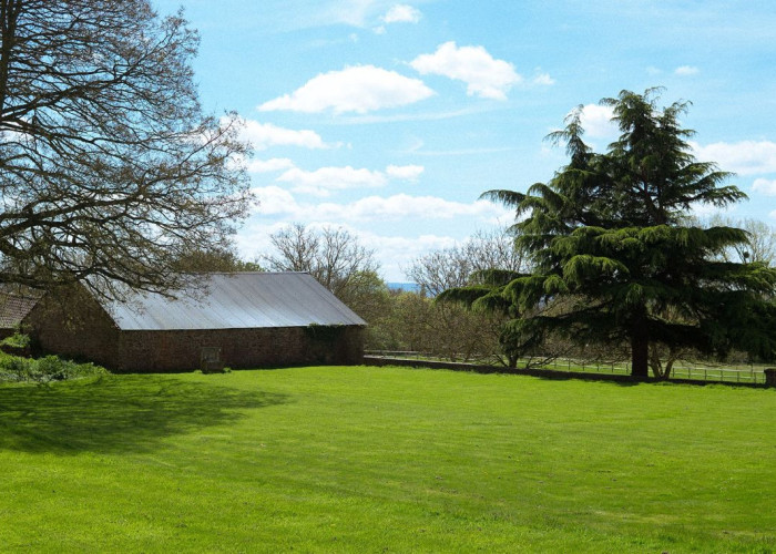 Grass, Tree at Majestic Grade II Listed Manor House For Filming, Somerset