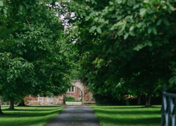 Branch, Shrub at Majestic Grade II Listed Manor House For Filming, Somerset
