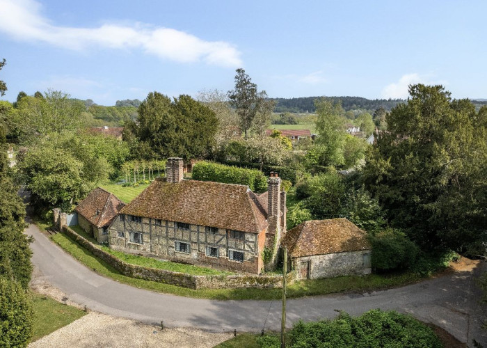 Grass, Tree at Beautiful 17th Century Home For Filming, West Sussex