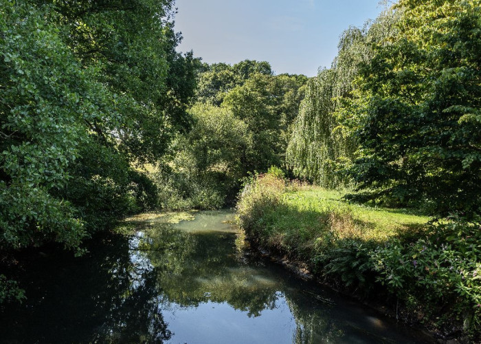 Lake / Pond at Beautiful 17th Century Home For Filming, West Sussex