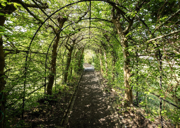 Green, Natural environment at Beautiful 17th Century Home For Filming, West Sussex