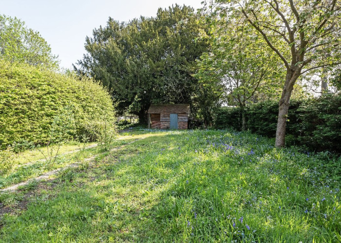 Grass, Green at Beautiful 17th Century Home For Filming, West Sussex
