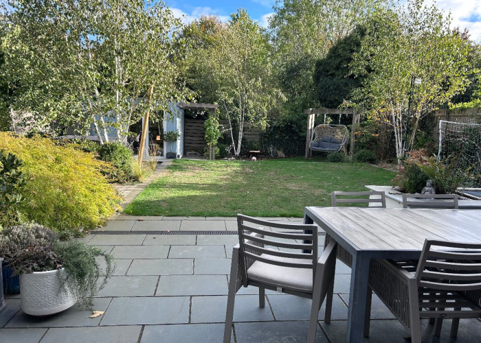 Plants, Shrub at Detached Family Home In Bedfordshire For Filming, Bedfordshire