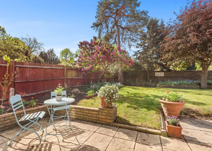 Shrub, Garden at Stunning Six Bedroom Corner House In London For Filming, London