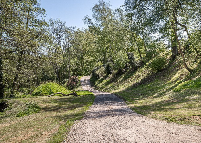 Driveway, Woodland at Contemporary 16th Century Black And White House For Filming, West Sussex