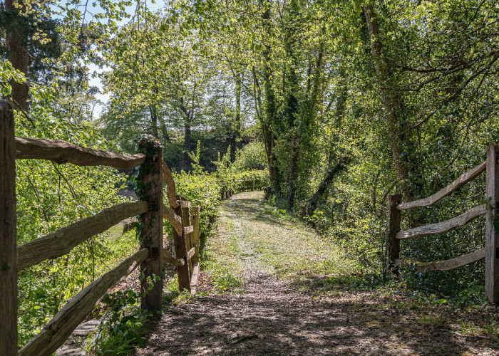 Green, Wood at Contemporary 16th Century Black And White House For Filming, West Sussex