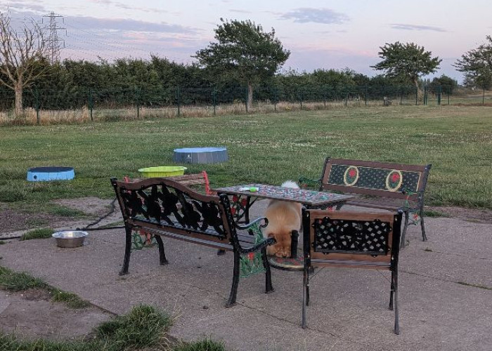 Furniture, Outdoor furniture at Twenty One Acre Private Airfield And Runway For Filming, Lincolnshire
