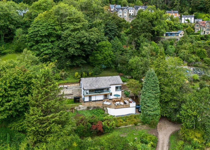 Tree, Vegetation at Contemporary Hillside Home With Panoramic Views Across The Valley For Filming, Derbyshire