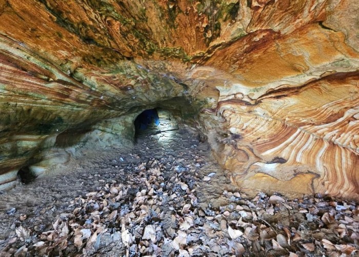 Cave at Genuine Sandstone Cave In Surrey For Filming, Surrey