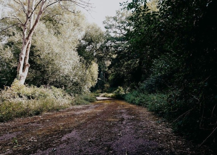 A Fully Controllable Private A-Road Set For Filming, Hertfordshire