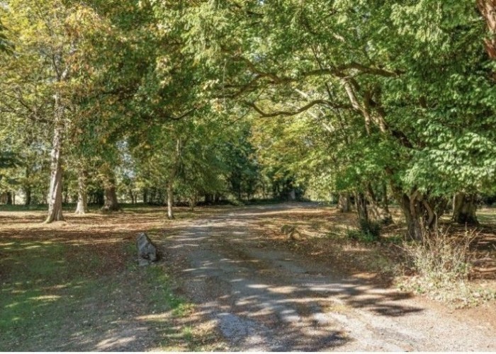 Woodland at A Gothic Victorian Rectory Set In 7.3 Acres Of Garden For Filming, Essex