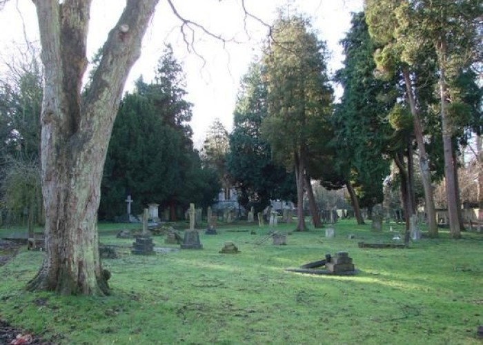 12. Graveyard