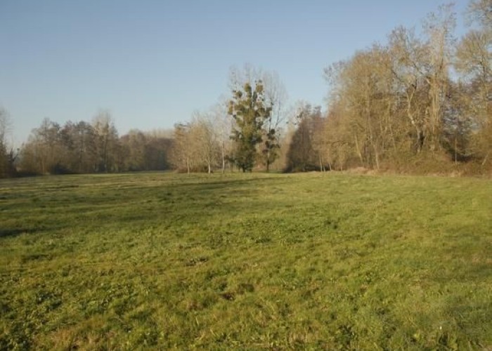 24. Countryside View