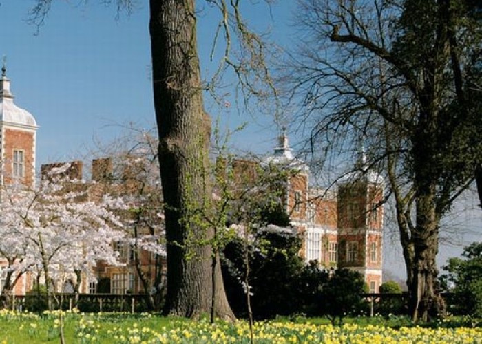 10. Gardens