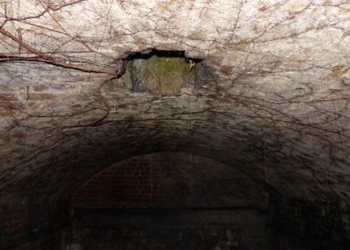 12. Cellar / Crypt / Basement