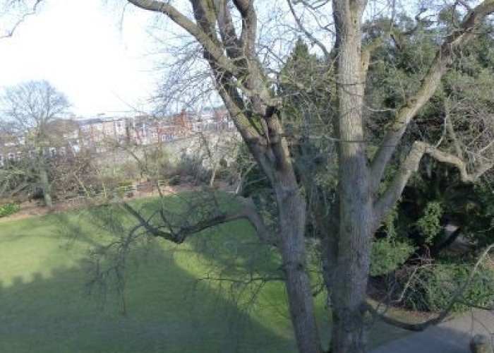 29. Gardens