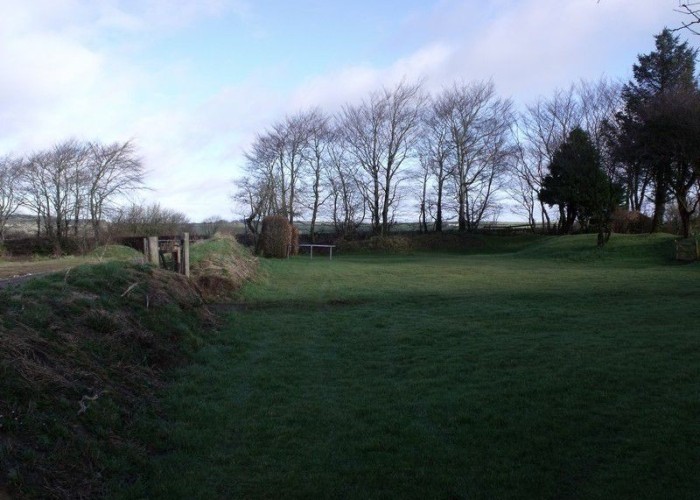 22. Fields