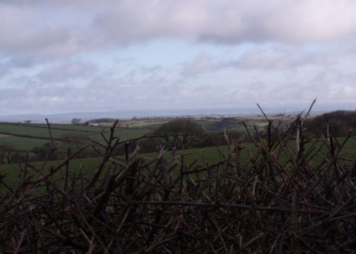 37. Countryside View