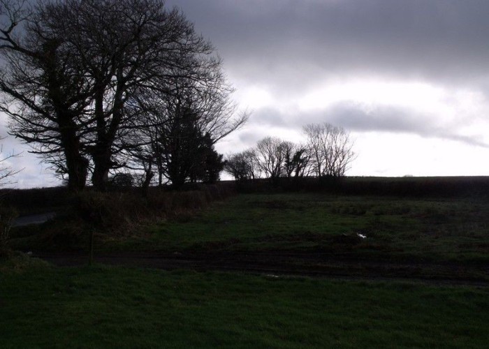 42. Countryside View