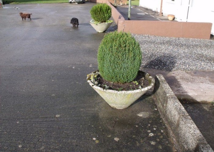 46. Driveway