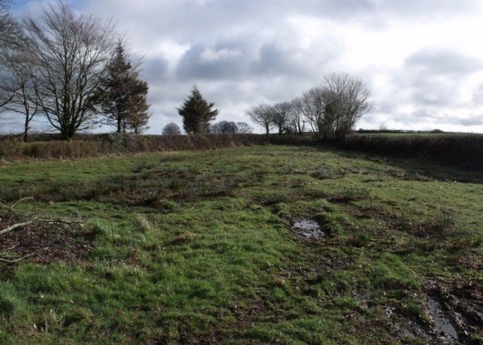 48. Fields