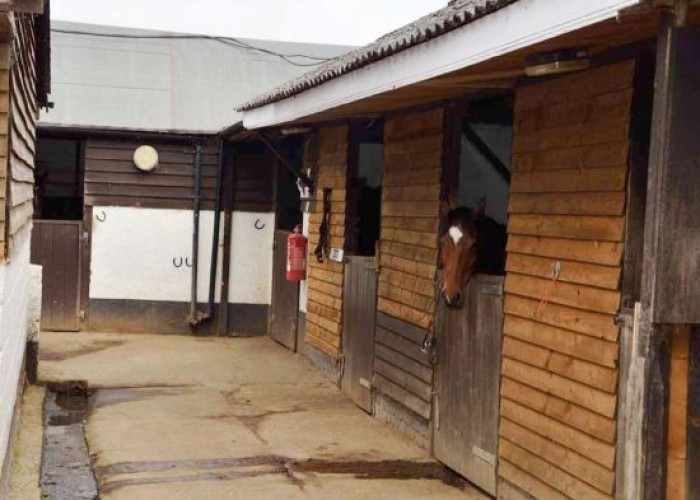 2. Stables