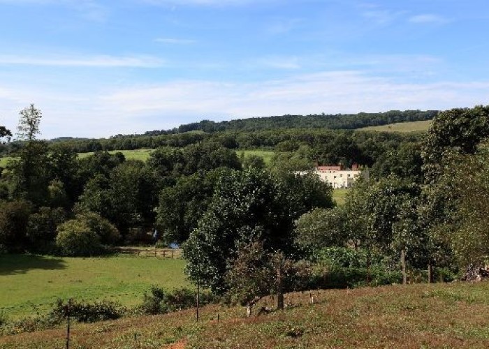 32. Countryside View