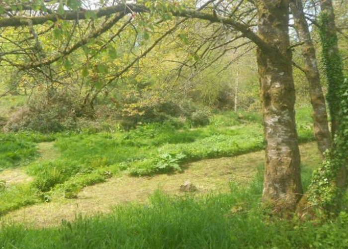 15. Woodland