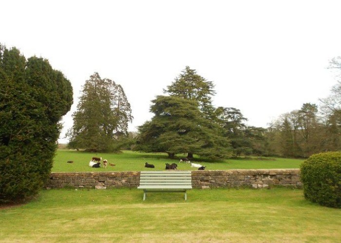 17. Fields