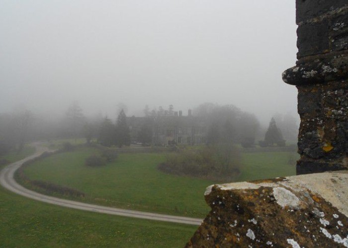 20. Gardens