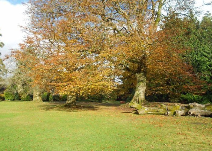 22. Gardens