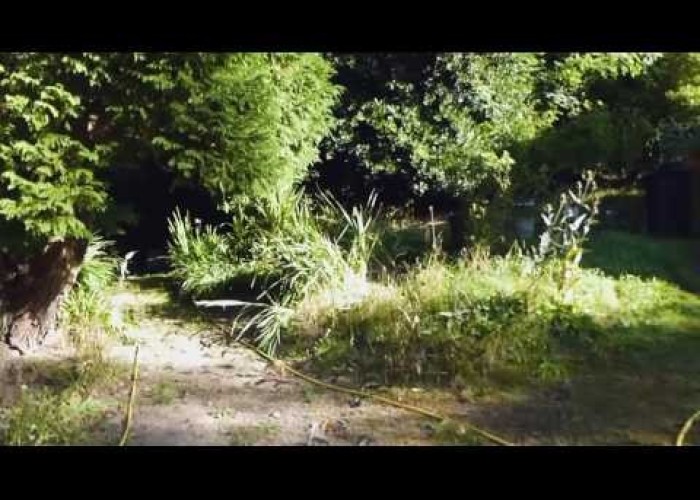 SE2451 Location Video (exteriors)