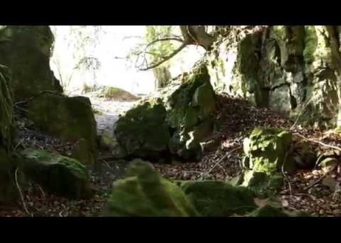 SW2240 - Ancient Woodland, Rock Formations and More!